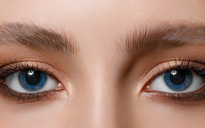 Comment choisir le bon fard à paupières en fonction de la couleur de ses yeux : une exploration chromatique 